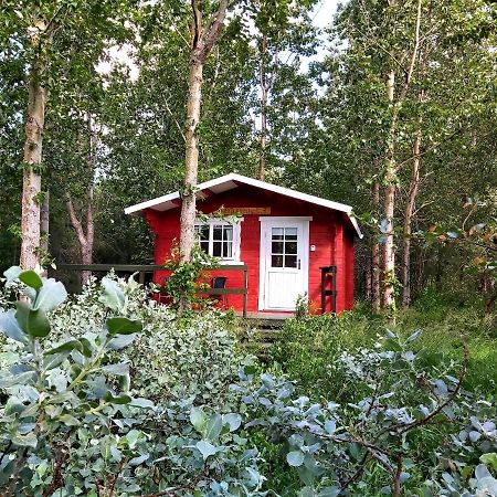 Bakkakot 3 Cozy Cabin In The Woods Akureyri Luaran gambar