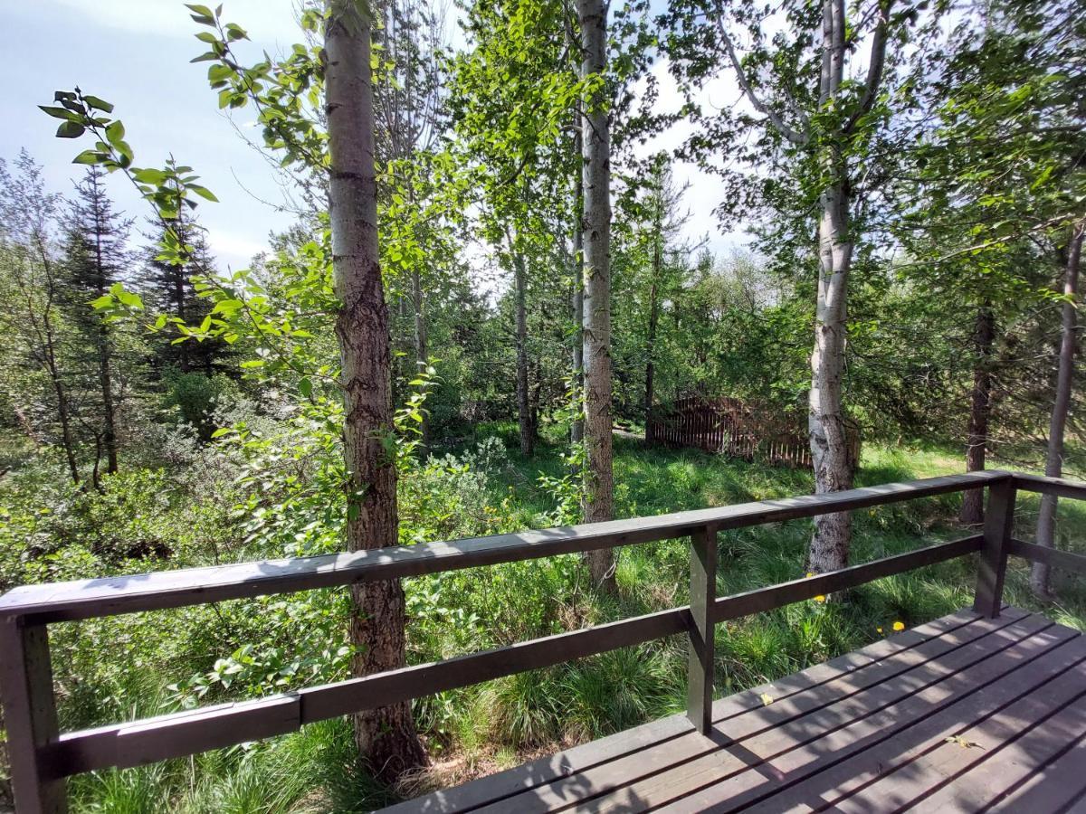 Bakkakot 3 Cozy Cabin In The Woods Akureyri Luaran gambar